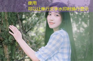 Exploration of Shanghai's Agricultural Insurance System